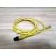 Balluff C49ENE04PY020M Cable - Used