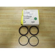 Chesterton 009653 Piston Seal Kit