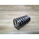 R-NX5365 Valve Relief Spring RNX5365