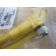 Turck WKC-4T-4 U5307 Cable  WKC4T4