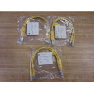 TPC Wire And Cable 81412 Y Splitter Cable Assembly (Pack of 3)