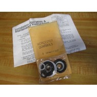 Worcester Controls RK44PTR17 Valve Repair Kit 1"