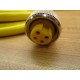 Turck RKM 46-4M Cable RKM464M