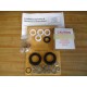 Worcester Controls 1-12-RK94-6-PM-RI Repair Kit 112RK946PMRI