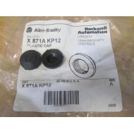 Allen Bradley X 871A KP12 Plastic Cap X871AKP12 (Pack of 2)