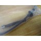 Total Source 2384993 Accelerator Cable  CL2384993