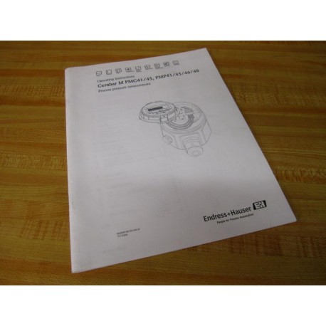 Endress+Hauser 71113266 Operating Instructions - Used