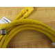 Lumberg ASB2-RKWT2 43-6952M Double End Cord ASB2RKWT436952M - New No Box