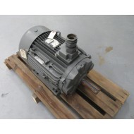 Moteur LS 160 LA-4 Motor LS160LA4 HP 25 RPM 1760 Job 96-3-44 - Refurbished