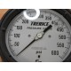 Trerice 450LFSS4504LA160SGW Gauge 0-600PSI 4.5"