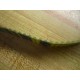 Jason T5455 Timing Belt T5455