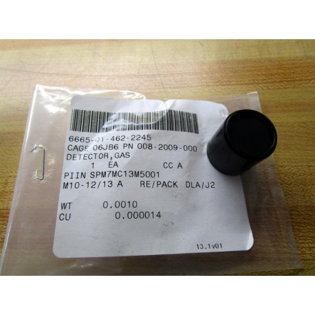 RAE 008-2009-000 Gas Detector  0082009000