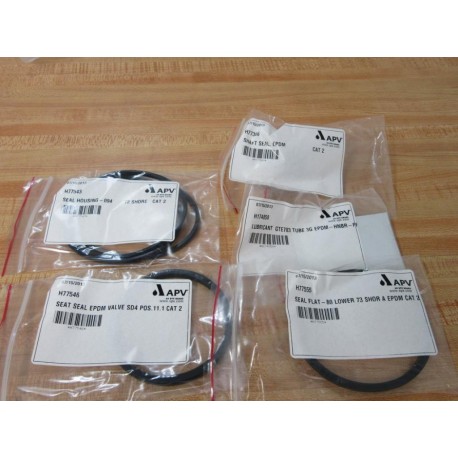 SPX APV H77922 Seal Kit