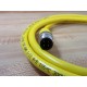 Turck RKC 4.4T-2-RSC 4.4T Cable U5264   RKC44T2RSC44T - New No Box