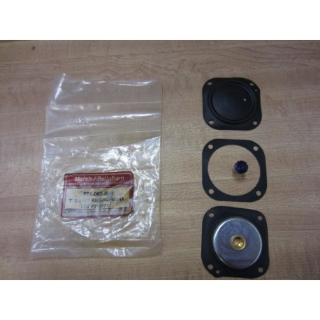 Marsh Bellofram 971002000 Kit Replacement 971-002-000