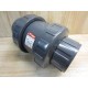 Cepex CPX22020VIT Check Valve