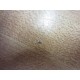 C732733 C732 733 Ceramic Capacitor 47 PF (Pack of 17) - New No Box