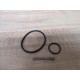 AscoRed Hat 318998 Solenoid Valve Rebuild Kit