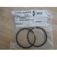 Trupar America HY1379063 Piston Ring (Pack of 2)