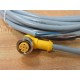 Turck WK 4.5T-6 Eurofast Molded Cordset U2436-1