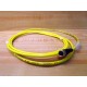 Pepperl + Fuchs V3-GM-YE2M-PVC-U Cable V3GMYE2MPVCU