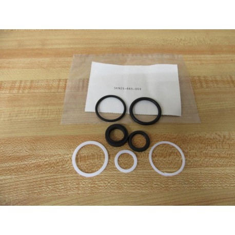 Hydro Line SKN25-665-05V Replacement Seal Kit SKN2566505V