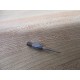 GN3C640332249 Removable Needle Tip (Pack of 99)