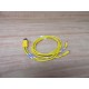 Turck VBRS 4.4-2PKG 3M-0.90.9 Euro Fast Cable U0118-28