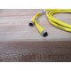 Turck VBRS 4.4-2PKG 3M-0.90.9 Euro Fast Cable U0118-28