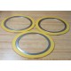 LGT 6"-300 304F.G. ASME B16.20 Gasket 6300304FGASMEB1620 (Pack of 3) - New No Box