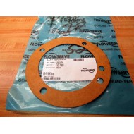 Flowserve 2RC216AX1 Gasket