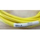 Turck WKM-50-5M Connector Cable WKM505M