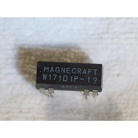 Magnecraft W171D1P-19 Relay - New No Box