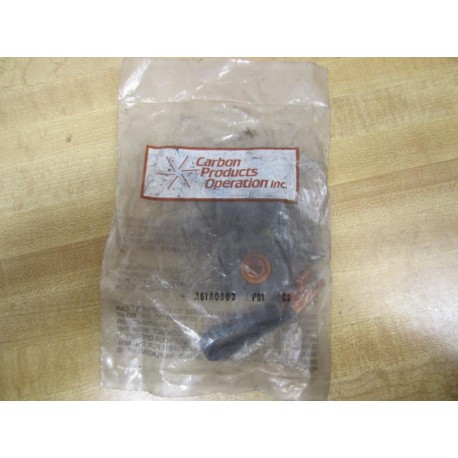 Carbon Products A61A0003P01 Brush