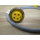 Turck RKM 40-0.5-RS 4.4TS681 Cable