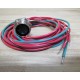 Turck RXF 35-2M Cable U5411-1