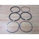 Ingersoll-Rand 32015109 Ring Set CCN3215109