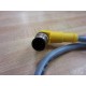 Turck RKC 4.4T-1-WSC 4.4TS622 U5213 Cable RKC44T1WSC44TS622 - New No Box