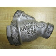 Armstrong 250 Y Strainer 14 - New No Box