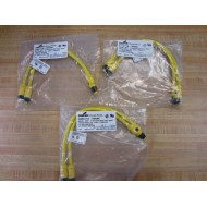 Crouse & Hinds 5000118-506SE Y Splitter Cable Assembly 5000118506SE (Pack of 3)