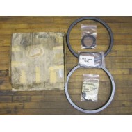 100016000 MOLY Pack Of 2 Seal Kits P4615A90