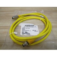 Turck RKG 4.4T-2-RSE 4.4TS600 Cable U5317-92