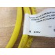 Lumberg RKT 4-6022M Cable 250V 4A - Used