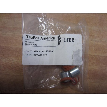 Trupar MECHI70187009 Repair Kit (Pack of 4)