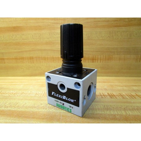 Numatics R22R-03 Pressure Regulator R22R03 - New No Box