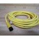 Brad Harrison 703000B01F200 Cable Assembly 20 Foot