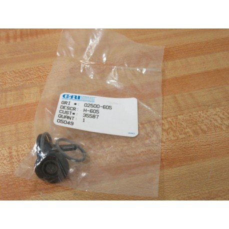 Gorman-Rupp 02500-605 Poppet Valve Kit-EPT 02500605