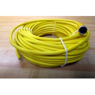 Balluff BCC05FC Cable BCCM415-0000-1A-003-EX44T2-200 - New No Box