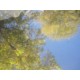 Henry FSCN-98300 Filter ZP100339N474BF (Pack of 9)