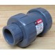 Hayward TC10100STE Check Valve 1"